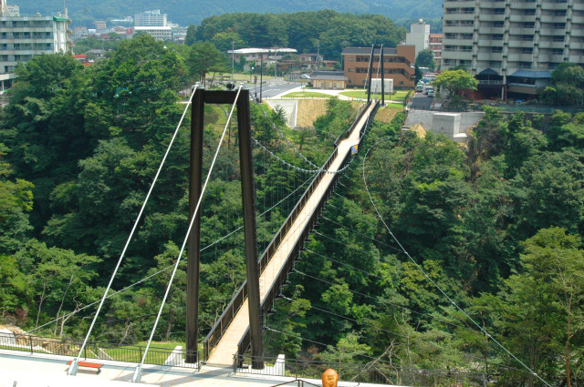 【鬼怒川・川治】鬼怒楯岩大吊橋